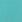 mint mint