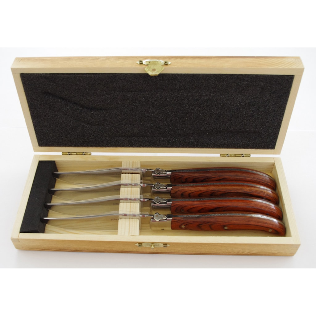 solex Steakbesteck »BBQ«, (Set, 4 tlg.)